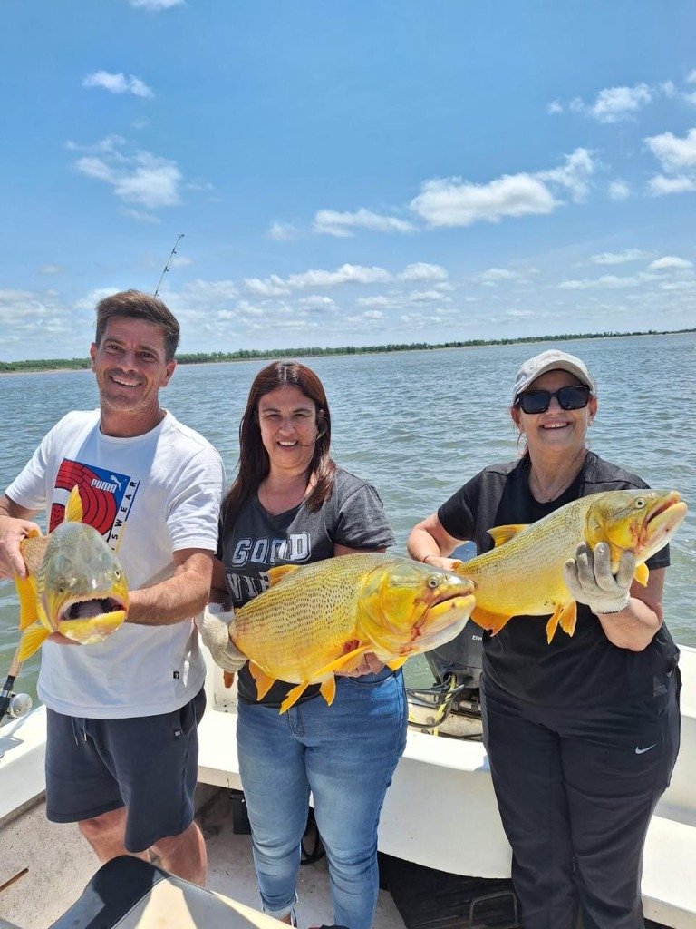 Triple captura de dorado deportivo